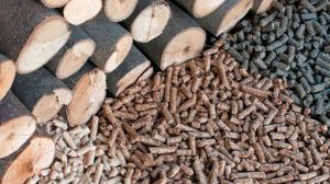 Ley de Biocombustibles Sólidos