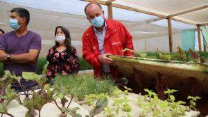 Ministro Walker en Mejillones