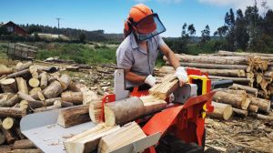 Fondo Leña Más Seca