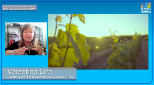 Valentina Lira, Concha y Toro