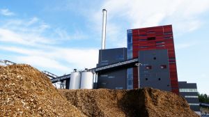 Capacitan a profesionales en tecnologías de cogeneración de biomasa