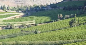 Entregan los cinco desafíos sobre innovación y eficiencia hídrica para Coquimbo