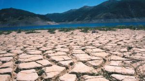 Los desafíos que tiene Chile en restauración medioambiental para los próximos años