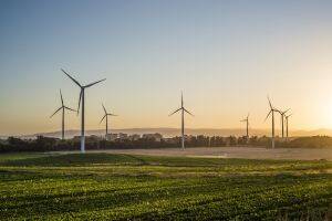 Tecnología blockchain: Aela Energía se incorpora a Pulse y certifica su energía 100% renovable