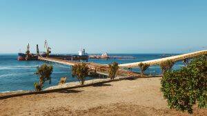 Puerto Mejillones busca tecnologías amigables con el medio ambiente para prevenir desechos de aves en sus instalaciones