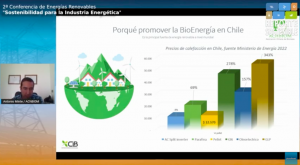 ACHBIOM: “No hay una energía renovable más importante que otra”