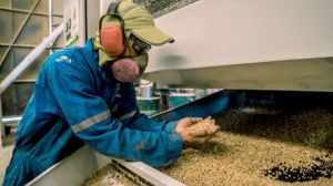 Producción de pellets en el sur de Chile es afectada por la escasez de materia prima
