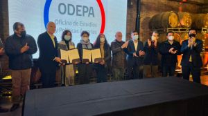 Industria del vino del Valle de Casablanca busca transformarse en sustentable, baja en carbono y resiliente al cambio climático