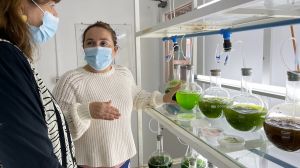 Uso de microalgas permitirá la primera plantación de arándanos en el desierto de Chile