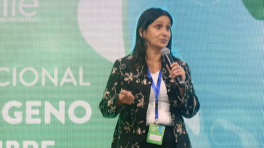 H2 Chile inicia su participación en la COP27 con intensa agenda