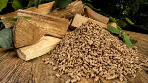 Lanzan fondo concursable para nuevos centros integrales de biomasa en la Región del Biobío