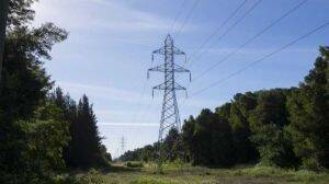 Grupo Saesa concreta compra de Enel Transmisión en Chile