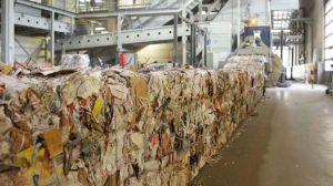 Sector de Envases y Embalajes en Chile logra reciclar 67 mil toneladas en sus productos tras Acuerdo de Producción Limpia