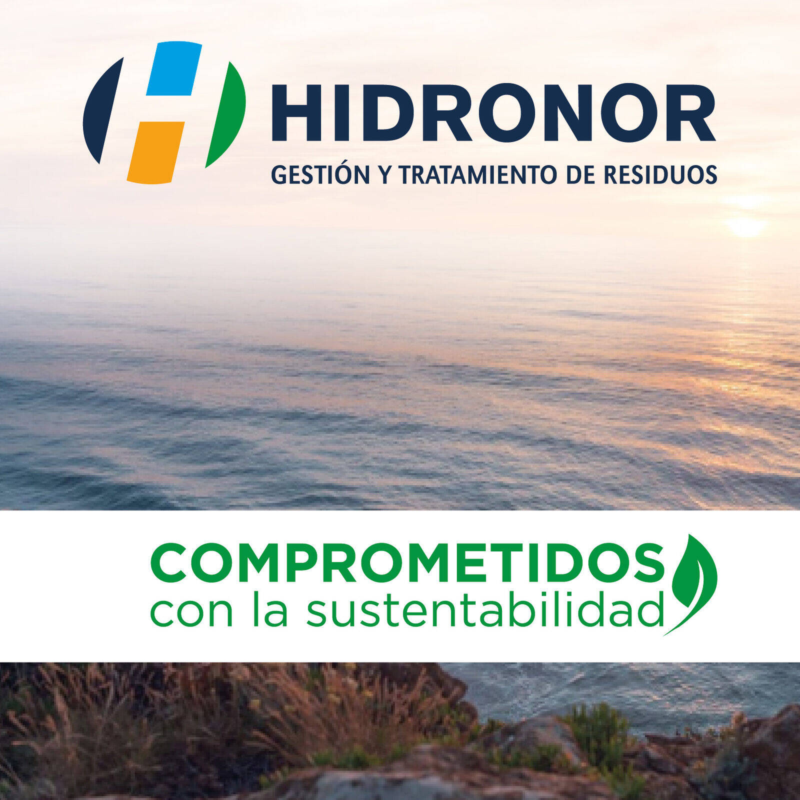 Hidronor