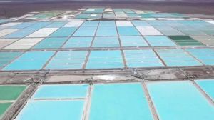 BYD Chile generará cadena de valor al litio mediante una planta de cátodos que instalará en Antofagasta