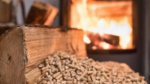 Lanzan convocatoria regional al fondo de “Centros Integrales de Biomasa”