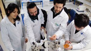 Transforman desechos frutícolas en plástico biodegradable: la exitosa investigación de un científico chileno