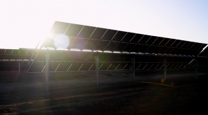 Comenzó la operación comercial de Guanchoi, la planta solar más grande de Chile