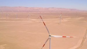 Restos arqueológicos obligan a la paralización total de las obras del proyecto Ckani en Antofagasta