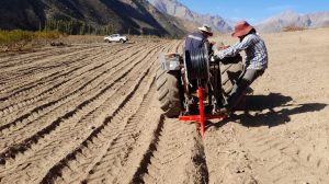 Escasez hídrica que afecta a la agricultura en Chile tiene una opción con tecnología de riego subterránea