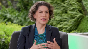 Ministra del Medio Ambiente en Comité de Litio: “Estamos trabajando en una propuesta de red de salares protegidos”