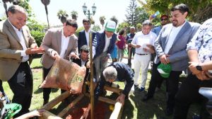 Proyecto de arborización urbana más grande de Latinoamérica cumplió en Chile el 100% de su meta