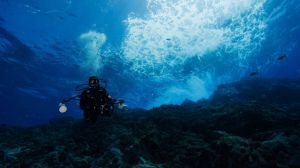 Chile es el primer país del mundo en aprobar la iniciativa que busca sentar las bases para proteger áreas fuera de las jurisdicciones nacionales