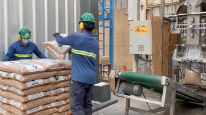 Autoridad afirma que el abastecimiento de pellet está garantizado para este invierno en la Región del Biobío