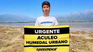 Greenpeace y reunión con Maisa Rojas: Laguna Aculeo es la segunda prioridad de la Región Metropolitana para ser declarada humedal urbano