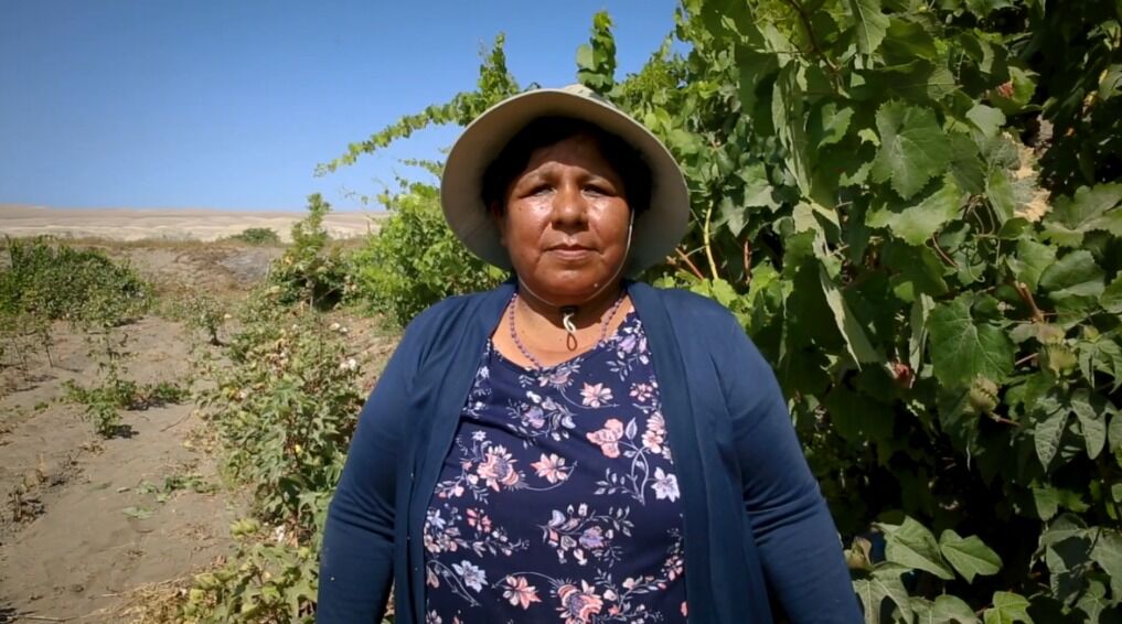 Water Positive: un enfoque proactivo para luchar contra la desertificación y la sequía
