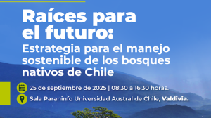 Chile da un paso clave hacia el manejo sustentable del bosque nativo