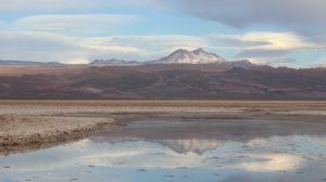 SQM reducirá al 50% el uso de agua continental en el Salar de Atacama y consolida 17% del mercado global de litio