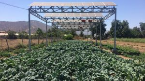 Fraunhofer Chile aborda el déficit hídrico en el agroalimentario mediante sistemas agrivoltaicos