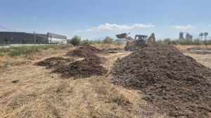 De microbasural a bosque nativo:   Ideal apoya recuperación de terreno industrial en Quilicura para crear un refugio climático