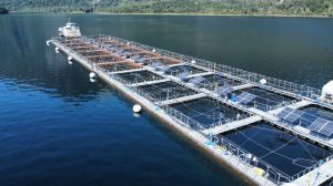 Copec, Luxmeter y Ventisqueros impulsan proyecto pionero de energía renovable para la industria salmonera