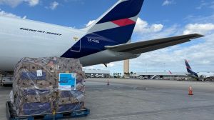 Aumenta el uso de combustibles sostenibles en la aviación