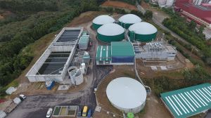 La bioenergía en Chile busca un lugar protagónico en la transición energética del país