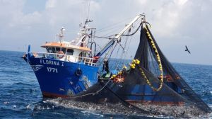 Pescadores industriales del Biobío fortalecen sus capacidades en eficiencia energética